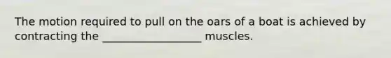 The motion required to pull on the oars of a boat is achieved by contracting the __________________ muscles.