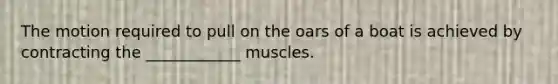 The motion required to pull on the oars of a boat is achieved by contracting the ____________ muscles.