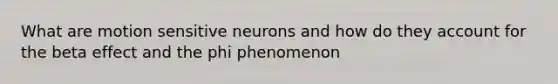 What are motion sensitive neurons and how do they account for the beta effect and the phi phenomenon