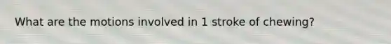 What are the motions involved in 1 stroke of chewing?