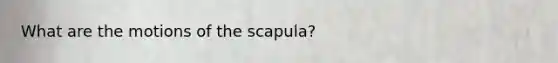 What are the motions of the scapula?