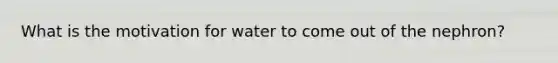 What is the motivation for water to come out of the nephron?