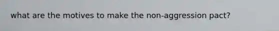 what are the motives to make the non-aggression pact?