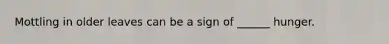 Mottling in older leaves can be a sign of ______ hunger.
