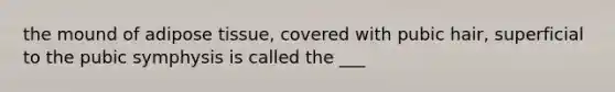 the mound of adipose tissue, covered with pubic hair, superficial to the pubic symphysis is called the ___