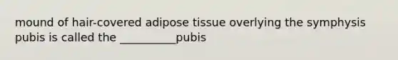 mound of hair-covered adipose tissue overlying the symphysis pubis is called the __________pubis