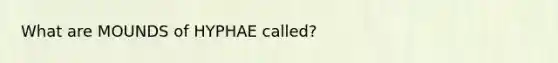 What are MOUNDS of HYPHAE called?