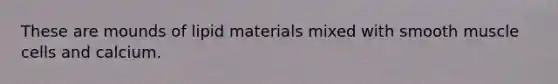 These are mounds of lipid materials mixed with smooth muscle cells and calcium.