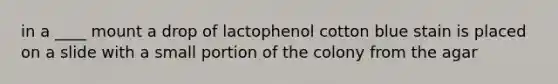 in a ____ mount a drop of lactophenol cotton blue stain is placed on a slide with a small portion of the colony from the agar