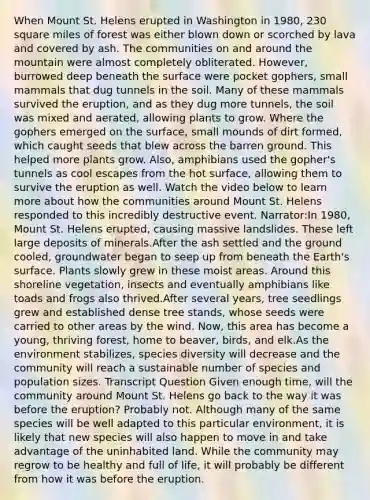 When Mount St. Helens erupted in Washington in 1980, 230 square miles of forest was either blown down or scorched by lava and covered by ash. The communities on and around the mountain were almost completely obliterated. However, burrowed deep beneath the surface were pocket gophers, small mammals that dug tunnels in the soil. Many of these mammals survived the eruption, and as they dug more tunnels, the soil was mixed and aerated, allowing plants to grow. Where the gophers emerged on the surface, small mounds of dirt formed, which caught seeds that blew across the barren ground. This helped more plants grow. Also, amphibians used the gopher's tunnels as cool escapes from the hot surface, allowing them to survive the eruption as well. Watch the video below to learn more about how the communities around Mount St. Helens responded to this incredibly destructive event. Narrator:In 1980, Mount St. Helens erupted, causing massive landslides. These left large deposits of minerals.After the ash settled and the ground cooled, groundwater began to seep up from beneath the Earth's surface. Plants slowly grew in these moist areas. Around this shoreline vegetation, insects and eventually amphibians like toads and frogs also thrived.After several years, tree seedlings grew and established dense tree stands, whose seeds were carried to other areas by the wind. Now, this area has become a young, thriving forest, home to beaver, birds, and elk.As the environment stabilizes, species diversity will decrease and the community will reach a sustainable number of species and population sizes. Transcript Question Given enough time, will the community around Mount St. Helens go back to the way it was before the eruption? Probably not. Although many of the same species will be well adapted to this particular environment, it is likely that new species will also happen to move in and take advantage of the uninhabited land. While the community may regrow to be healthy and full of life, it will probably be different from how it was before the eruption.