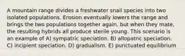 A mountain range divides a freshwater snail species into two isolated populations. Erosion eventually lowers the range and brings the two populations together again, but when they mate, the resulting hybrids all produce sterile young. This scenario is an example of A) sympatric speciation. B) allopatric speciation. C) incipient speciation. D) gradualism. E) punctuated equilibrium