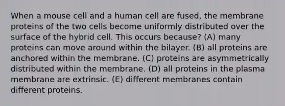 When a mouse cell and a human cell are fused, the membrane proteins of the two cells become uniformly distributed over the surface of the hybrid cell. This occurs because? (A) many proteins can move around within the bilayer. (B) all proteins are anchored within the membrane. (C) proteins are asymmetrically distributed within the membrane. (D) all proteins in the plasma membrane are extrinsic. (E) different membranes contain different proteins.