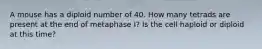 A mouse has a diploid number of 40. How many tetrads are present at the end of metaphase I? Is the cell haploid or diploid at this time?