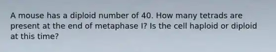 A mouse has a diploid number of 40. How many tetrads are present at the end of metaphase I? Is the cell haploid or diploid at this time?