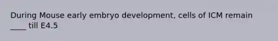 During Mouse early embryo development, cells of ICM remain ____ till E4.5