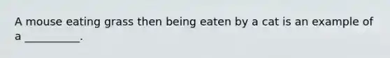 A mouse eating grass then being eaten by a cat is an example of a __________.