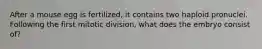 After a mouse egg is fertilized, it contains two haploid pronuclei. Following the first mitotic division, what does the embryo consist of?
