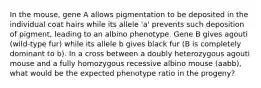 In the mouse, gene A allows pigmentation to be deposited in the individual coat hairs while its allele 'a' prevents such deposition of pigment, leading to an albino phenotype. Gene B gives agouti (wild-type fur) while its allele b gives black fur (B is completely dominant to b). In a cross between a doubly heterozygous agouti mouse and a fully homozygous recessive albino mouse (aabb), what would be the expected phenotype ratio in the progeny?