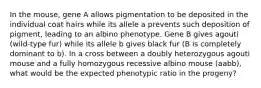 In the mouse, gene A allows pigmentation to be deposited in the individual coat hairs while its allele a prevents such deposition of pigment, leading to an albino phenotype. Gene B gives agouti (wild-type fur) while its allele b gives black fur (B is completely dominant to b). In a cross between a doubly heterozygous agouti mouse and a fully homozygous recessive albino mouse (aabb), what would be the expected phenotypic ratio in the progeny?