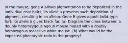 In the mouse, gene A allows pigmentation to be deposited in the individual coat hairs; its allele a prevents such deposition of pigment, resulting in an albino. Gene B gives agouti (wild-type fur); its allele b gives black fur. (a) Diagram the cross between a doubly heterozygous agouti mouse mated with a doubly homozygous recessive white mouse. (b) What would be the expected phenotypic ratio in the progeny?