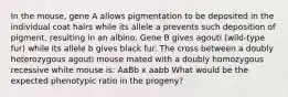 In the mouse, gene A allows pigmentation to be deposited in the individual coat hairs while its allele a prevents such deposition of pigment, resulting in an albino. Gene B gives agouti (wild-type fur) while its allele b gives black fur. The cross between a doubly heterozygous agouti mouse mated with a doubly homozygous recessive white mouse is: AaBb x aabb What would be the expected phenotypic ratio in the progeny?