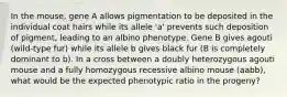 In the mouse, gene A allows pigmentation to be deposited in the individual coat hairs while its allele 'a' prevents such deposition of pigment, leading to an albino phenotype. Gene B gives agouti (wild-type fur) while its allele b gives black fur (B is completely dominant to b). In a cross between a doubly heterozygous agouti mouse and a fully homozygous recessive albino mouse (aabb), what would be the expected phenotypic ratio in the progeny?