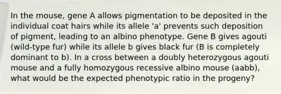 In the mouse, gene A allows pigmentation to be deposited in the individual coat hairs while its allele 'a' prevents such deposition of pigment, leading to an albino phenotype. Gene B gives agouti (wild-type fur) while its allele b gives black fur (B is completely dominant to b). In a cross between a doubly heterozygous agouti mouse and a fully homozygous recessive albino mouse (aabb), what would be the expected phenotypic ratio in the progeny?