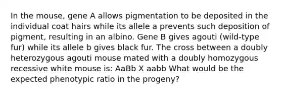 In the mouse, gene A allows pigmentation to be deposited in the individual coat hairs while its allele a prevents such deposition of pigment, resulting in an albino. Gene B gives agouti (wild-type fur) while its allele b gives black fur. The cross between a doubly heterozygous agouti mouse mated with a doubly homozygous recessive white mouse is: AaBb X aabb What would be the expected phenotypic ratio in the progeny?