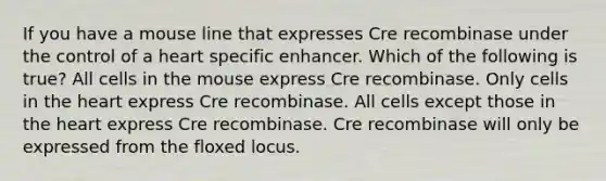 If you have a mouse line that expresses Cre recombinase under the control of a heart specific enhancer. Which of the following is true? All cells in the mouse express Cre recombinase. Only cells in the heart express Cre recombinase. All cells except those in the heart express Cre recombinase. Cre recombinase will only be expressed from the floxed locus.