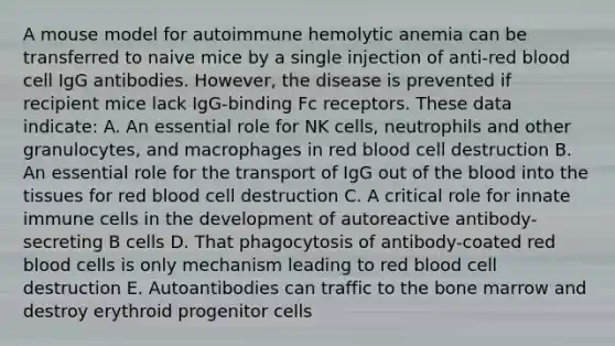 A mouse model for autoimmune hemolytic anemia can be transferred to naive mice by a single injection of anti-red blood cell IgG antibodies. However, the disease is prevented if recipient mice lack IgG-binding Fc receptors. These data indicate: A. An essential role for NK cells, neutrophils and other granulocytes, and macrophages in red blood cell destruction B. An essential role for the transport of IgG out of <a href='https://www.questionai.com/knowledge/k7oXMfj7lk-the-blood' class='anchor-knowledge'>the blood</a> into the tissues for red blood cell destruction C. A critical role for innate immune cells in the development of autoreactive antibody-secreting B cells D. That phagocytosis of antibody-coated red blood cells is only mechanism leading to red blood cell destruction E. Autoantibodies can traffic to the bone marrow and destroy erythroid progenitor cells