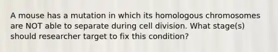 A mouse has a mutation in which its homologous chromosomes are NOT able to separate during cell division. What stage(s) should researcher target to fix this condition?