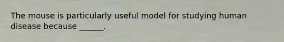 The mouse is particularly useful model for studying human disease because ______.