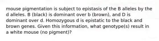 mouse pigmentation is subject to epistasis of the B alleles by the d alleles. B (black) is dominant over b (brown), and D is dominant over d. Homozygous d is epistatic to the black and brown genes. Given this information, what genotype(s) result in a white mouse (no pigment)?