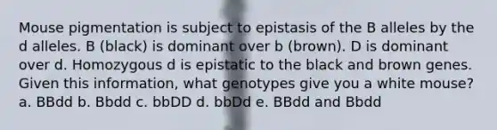 Mouse pigmentation is subject to epistasis of the B alleles by the d alleles. B (black) is dominant over b (brown). D is dominant over d. Homozygous d is epistatic to the black and brown genes. Given this information, what genotypes give you a white mouse? a. BBdd b. Bbdd c. bbDD d. bbDd e. BBdd and Bbdd