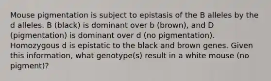 Mouse pigmentation is subject to epistasis of the B alleles by the d alleles. B (black) is dominant over b (brown), and D (pigmentation) is dominant over d (no pigmentation). Homozygous d is epistatic to the black and brown genes. Given this information, what genotype(s) result in a white mouse (no pigment)?