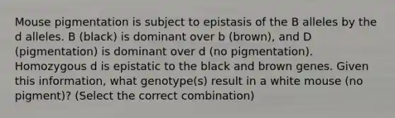 Mouse pigmentation is subject to epistasis of the B alleles by the d alleles. B (black) is dominant over b (brown), and D (pigmentation) is dominant over d (no pigmentation). Homozygous d is epistatic to the black and brown genes. Given this information, what genotype(s) result in a white mouse (no pigment)? (Select the correct combination)