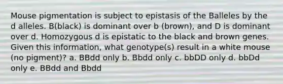 Mouse pigmentation is subject to epistasis of the Balleles by the d alleles. B(black) is dominant over b (brown), and D is dominant over d. Homozygous d is epistatic to the black and brown genes. Given this information, what genotype(s) result in a white mouse (no pigment)? a. BBdd only b. Bbdd only c. bbDD only d. bbDd only e. BBdd and Bbdd