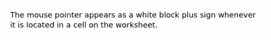 The mouse pointer appears as a white block plus sign whenever it is located in a cell on the worksheet.