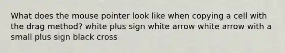 What does the mouse pointer look like when copying a cell with the drag method? white plus sign white arrow white arrow with a small plus sign black cross