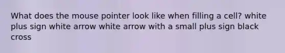 What does the mouse pointer look like when filling a cell? white plus sign white arrow white arrow with a small plus sign black cross