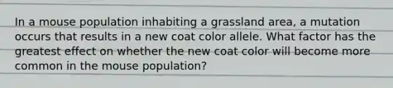 In a mouse population inhabiting a grassland area, a mutation occurs that results in a new coat color allele. What factor has the greatest effect on whether the new coat color will become more common in the mouse population?