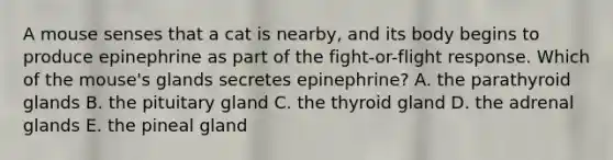 A mouse senses that a cat is nearby, and its body begins to produce epinephrine as part of the fight-or-flight response. Which of the mouse's glands secretes epinephrine? A. the parathyroid glands B. the pituitary gland C. the thyroid gland D. the adrenal glands E. the pineal gland