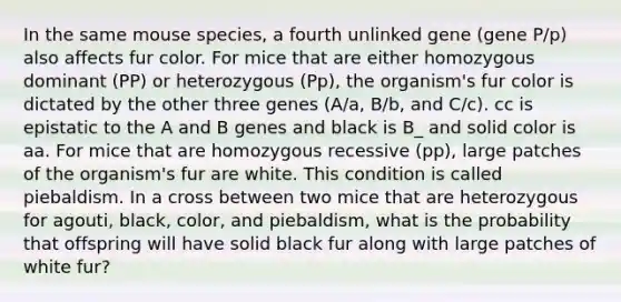 In the same mouse species, a fourth unlinked gene (gene P/p) also affects fur color. For mice that are either homozygous dominant (PP) or heterozygous (Pp), the organism's fur color is dictated by the other three genes (A/a, B/b, and C/c). cc is epistatic to the A and B genes and black is B_ and solid color is aa. For mice that are homozygous recessive (pp), large patches of the organism's fur are white. This condition is called piebaldism. In a cross between two mice that are heterozygous for agouti, black, color, and piebaldism, what is the probability that offspring will have solid black fur along with large patches of white fur?