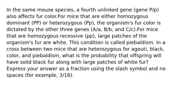 In the same mouse species, a fourth unlinked gene (gene P/p) also affects fur color.For mice that are either homozygous dominant (PP) or heterozygous (Pp), the organism's fur color is dictated by the other three genes (A/a, B/b, and C/c).For mice that are homozygous recessive (pp), large patches of the organism's fur are white. This condition is called piebaldism. In a cross between two mice that are heterozygous for agouti, black, color, and piebaldism, what is the probability that offspring will have solid black fur along with large patches of white fur? Express your answer as a fraction using the slash symbol and no spaces (for example, 3/16).