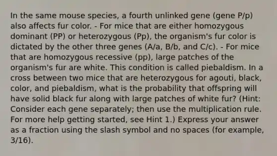 In the same mouse species, a fourth unlinked gene (gene P/p) also affects fur color. - For mice that are either homozygous dominant (PP) or heterozygous (Pp), the organism's fur color is dictated by the other three genes (A/a, B/b, and C/c). - For mice that are homozygous recessive (pp), large patches of the organism's fur are white. This condition is called piebaldism. In a cross between two mice that are heterozygous for agouti, black, color, and piebaldism, what is the probability that offspring will have solid black fur along with large patches of white fur? (Hint: Consider each gene separately; then use the multiplication rule. For more help getting started, see Hint 1.) Express your answer as a fraction using the slash symbol and no spaces (for example, 3/16).