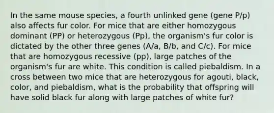 In the same mouse species, a fourth unlinked gene (gene P/p) also affects fur color. For mice that are either homozygous dominant (PP) or heterozygous (Pp), the organism's fur color is dictated by the other three genes (A/a, B/b, and C/c). For mice that are homozygous recessive (pp), large patches of the organism's fur are white. This condition is called piebaldism. In a cross between two mice that are heterozygous for agouti, black, color, and piebaldism, what is the probability that offspring will have solid black fur along with large patches of white fur?