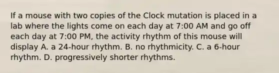 If a mouse with two copies of the Clock mutation is placed in a lab where the lights come on each day at 7:00 AM and go off each day at 7:00 PM, the activity rhythm of this mouse will display A. a 24-hour rhythm. B. no rhythmicity. C. a 6-hour rhythm. D. progressively shorter rhythms.