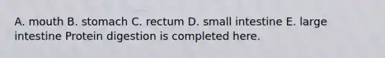 A. mouth B. stomach C. rectum D. small intestine E. large intestine Protein digestion is completed here.