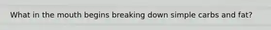What in the mouth begins breaking down simple carbs and fat?