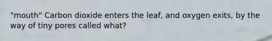 "mouth" Carbon dioxide enters the leaf, and oxygen exits, by the way of tiny pores called what?